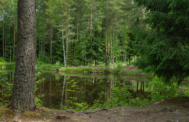 Similar image 21681892