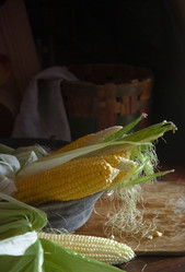 Similar image 21682532