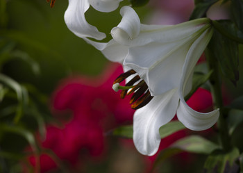 Similar image 21682385