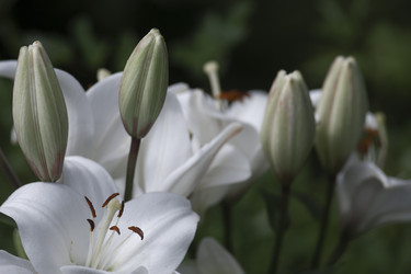 Similar image 21682390