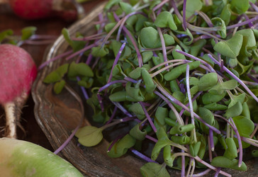 Similar image 21682394