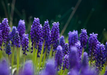 Similar image 21682542