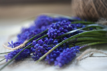 Similar image 21682544