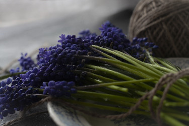 Similar image 21682545