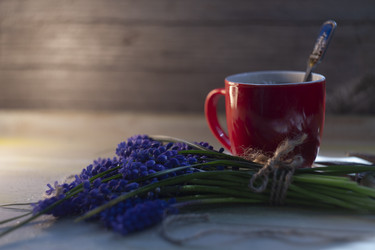 Similar image 21682546