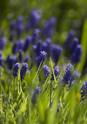 Similar image 21682547