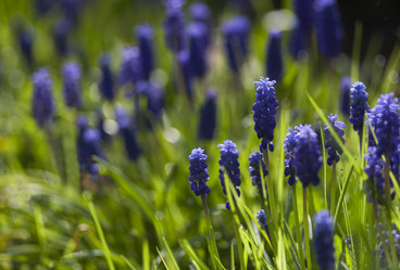 Similar image 21682548