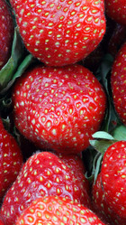 Similar image 21682082