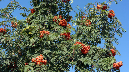 Similar image 21682087