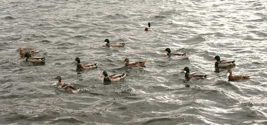 Similar image 21682096