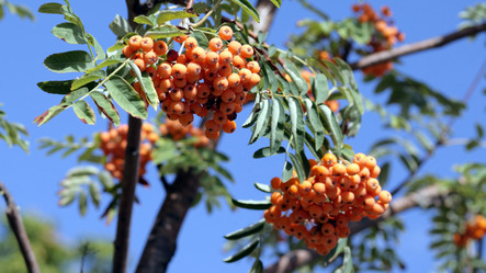 Similar image 21682100