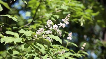 Similar image 21682102