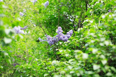 Similar image 21682111