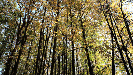 Similar image 21682112