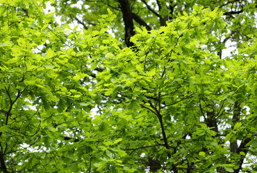 Similar image 21682113