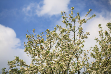 Similar image 21682114