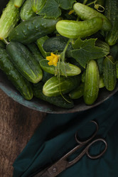 Similar image 21682559