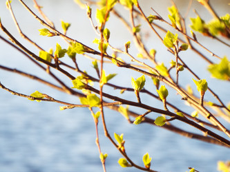 Similar image 21682988