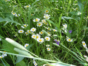 Similar image 21682989