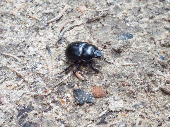 Similar image 21682990