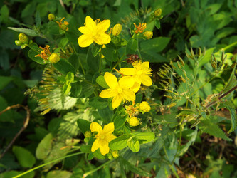 Similar image 21682991