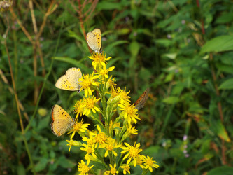 Similar image 21682992