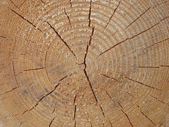 Similar image 21682995