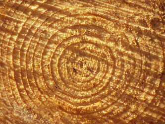 Similar image 21682996