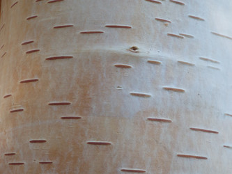 Similar image 21682999