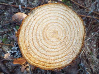 Similar image 21683000