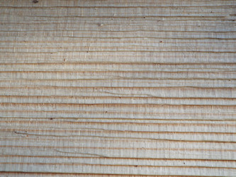 Similar image 21683001