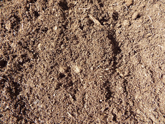 Similar image 21683002