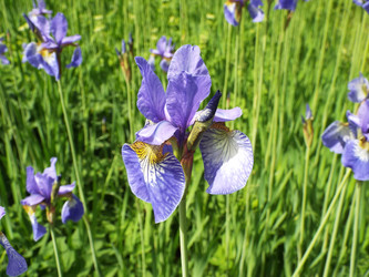 Similar image 21682885