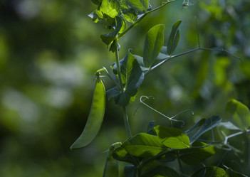 Similar image 21682571