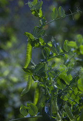 Similar image 21682572