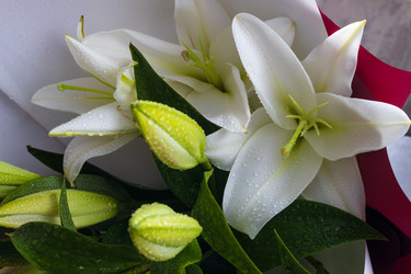 Similar image 21682234