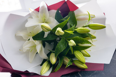 Similar image 21682235