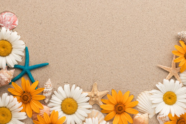 Similar image 21682337