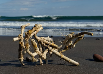 Similar image 21684958