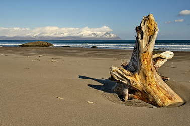 Similar image 21684959