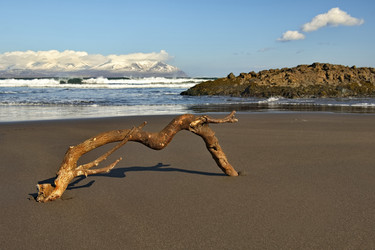 Similar image 21684960