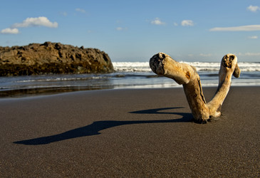 Similar image 21684961