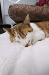 Similar image 21682796