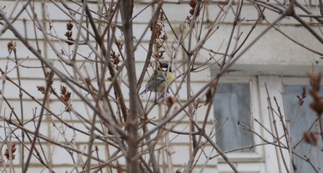 Similar image 21683723