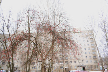 Similar image 21683726