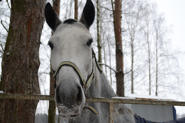 Similar image 21683727