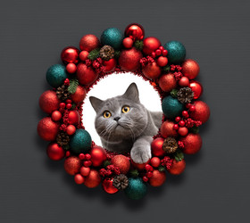 Similar image 21682757