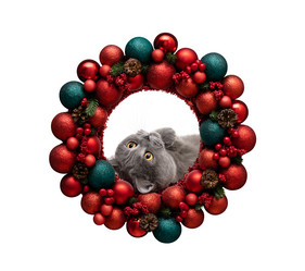 Similar image 21682758