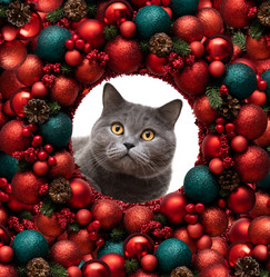 Similar image 21682759