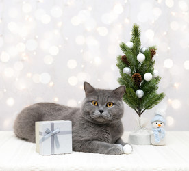 Similar image 21682761